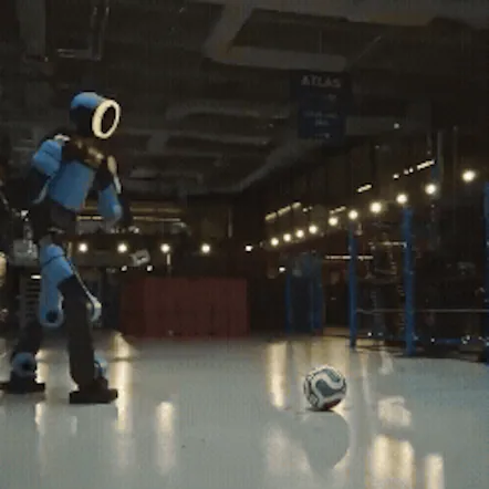 Humanoid Robot Player