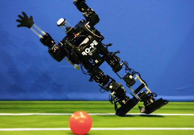 Robot Goalkeeper