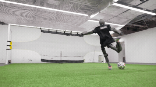 Humanoid Robot Kicking