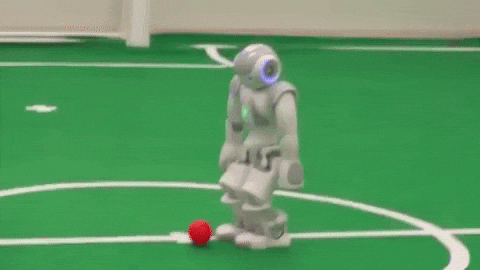 Robot Competition